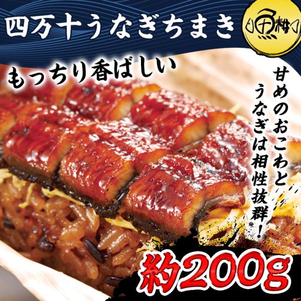 四万十 うなぎ ちまき 国産 約200g  日本最後の清流、四万十川の恵みで育った自慢のウナギ 【鰻/ウナギ/粽/国内産/ギフト/贈答/unagi】