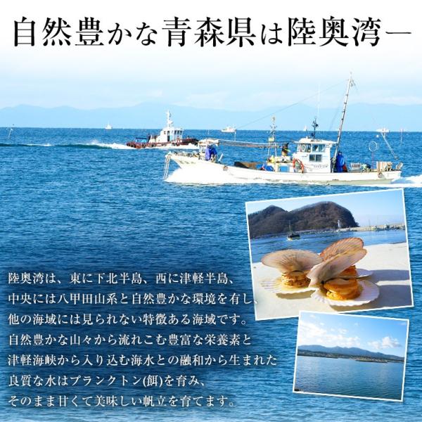 ホタテ貝柱 1kg 青森県産 割れなし 正規品 帆立 お取り寄せ 刺身用 生食用可 青森県むつ湾産の生鮮ほたて 柔らかさと絶妙な甘み 【ギフト/贈答/ほたて/ホタテ/貝柱/グルメ/バーベキュー/BBQ/高級】