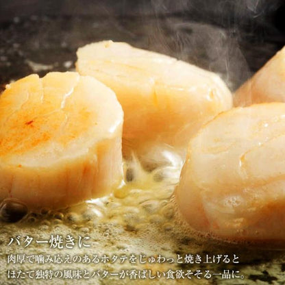 ホタテ貝柱 1kg 青森県産 割れなし 正規品 帆立 お取り寄せ 刺身用 生食用可 青森県むつ湾産の生鮮ほたて 柔らかさと絶妙な甘み 【ギフト/贈答/ほたて/ホタテ/貝柱/グルメ/バーベキュー/BBQ/高級】