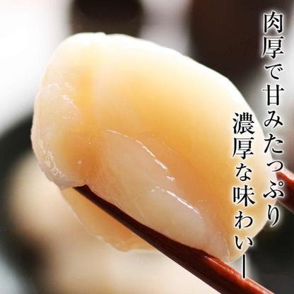 ほたて 貝柱 北海道産 割れなし正規品 お取り寄せ ホタテ 1kg 刺身用 生食可 北海道の生鮮ほたて 締まった身肉と絶妙な甘み 【帆立/1キロ】【ギフト/贈答】