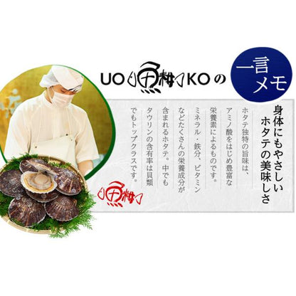 ほたて 貝柱 北海道産 割れなし正規品 お取り寄せ ホタテ 1kg 刺身用 生食可 北海道の生鮮ほたて 締まった身肉と絶妙な甘み 【帆立/1キロ】【ギフト/贈答】