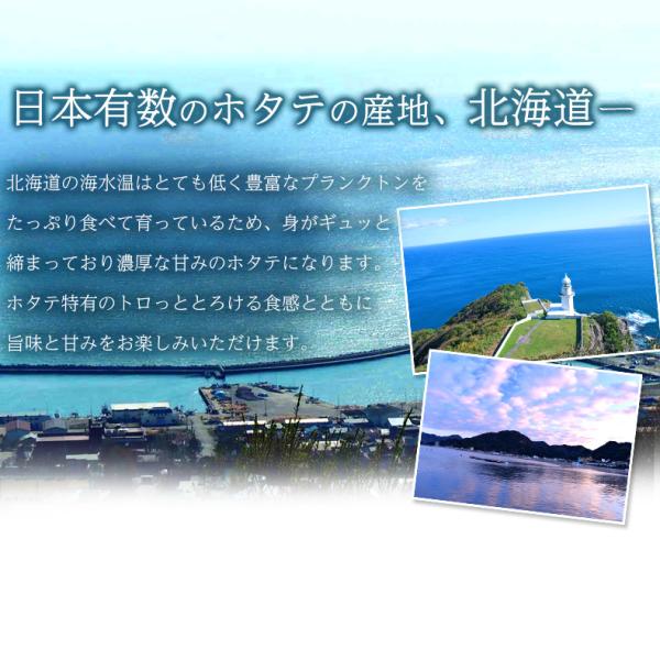 ほたて 貝柱 北海道産 割れなし正規品 お取り寄せ ホタテ 1kg 刺身用 生食可 北海道の生鮮ほたて 締まった身肉と絶妙な甘み 【帆立/1キロ】【ギフト/贈答】