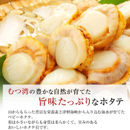 ほたて お取り寄せ 青森県産 ボイルホタテ ベビーホタテ1kg 生食用 青森県むつ湾産の生鮮ほたて 【海鮮/帆立/ベビーほたて/1キロ/バーベキュー/BBQ/ギフト/贈答】