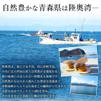 ほたて お取り寄せ 青森県産 ボイルホタテ ベビーホタテ1kg 生食用 青森県むつ湾産の生鮮ほたて 【海鮮/帆立/ベビーほたて/1キロ/バーベキュー/BBQ/ギフト/贈答】