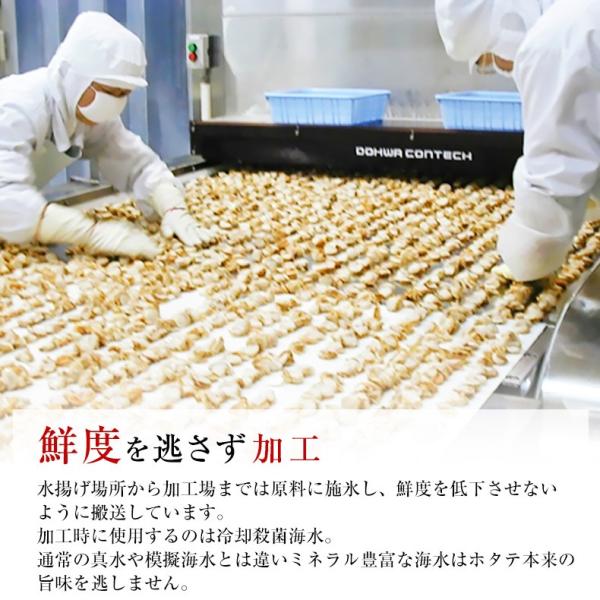 ほたて お取り寄せ 青森県産 ボイルホタテ ベビーホタテ1kg 生食用 青森県むつ湾産の生鮮ほたて 【海鮮/帆立/ベビーほたて/1キロ/バーベキュー/BBQ/ギフト/贈答】