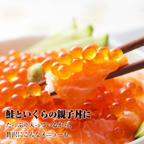 天然紅鮭 スモークサーモン たっぷり 1kg （スライス/45～55枚・500g×2セット） 養殖ではない、天然希少種を使用 【お取り寄せ/海鮮/サーモン/切り落とし/鮭/紅鮭】 【ギフト/贈答】
