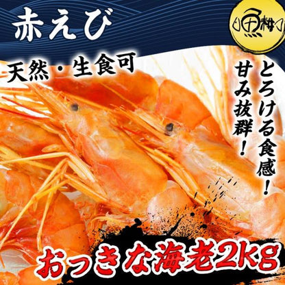 アルゼンチン産 天然 有頭 赤えび 2kg 新鮮船上凍結だから刺身でも焼きでも風味バツグンの生赤エビ 【あかえび/赤海老/BBQ/海鮮/バーベキュー】【父の日/食べ物/ギフト/贈答】