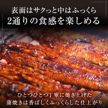 うなぎ ギフト 愛知三河一色産 特大ウナギ蒲焼長焼き 約140g×2尾セット 【兼光/鰻/ウナギ/蒲焼き/国産/国内産/贈答/プレゼント】