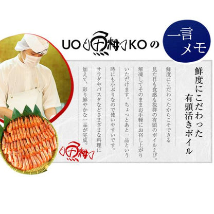 有頭 ボイルエビ Mサイズ たっぷり 1kg 新鮮さにこだわった有頭活きボイル 【えび/海老/エビ/有頭えび/BBQ/海鮮/バーベキュー/ギフト/贈答】