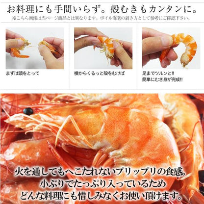 有頭 ボイルエビ Mサイズ たっぷり 1kg 新鮮さにこだわった有頭活きボイル 【えび/海老/エビ/有頭えび/BBQ/海鮮/バーベキュー/ギフト/贈答】