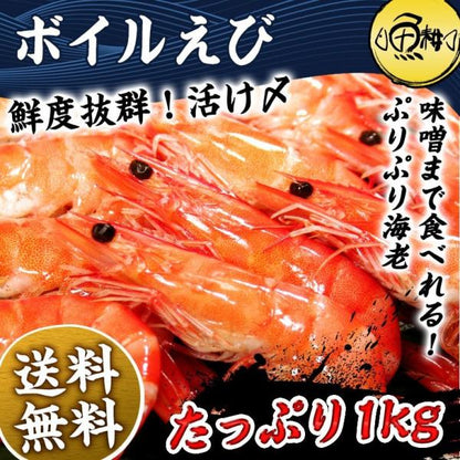有頭 ボイルエビ Mサイズ たっぷり 1kg 新鮮さにこだわった有頭活きボイル 【えび/海老/エビ/有頭えび/BBQ/海鮮/バーベキュー/ギフト/贈答】