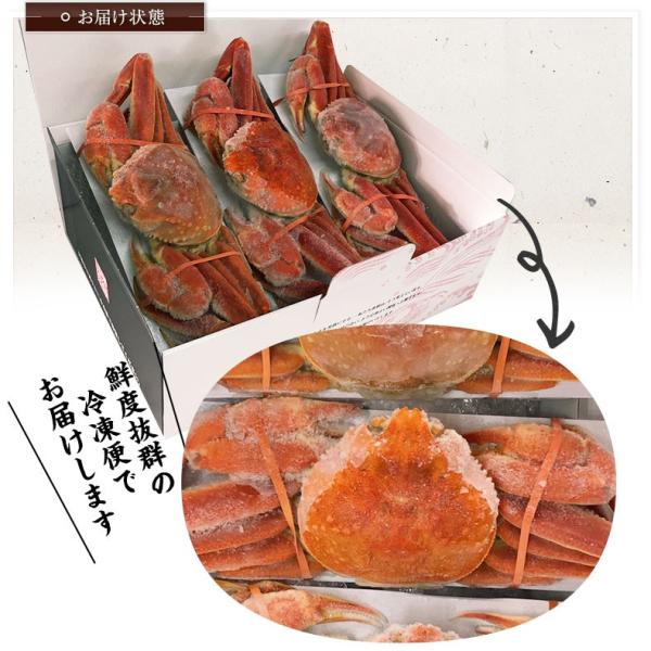 本ズワイガニ 姿 ボイル 1.5kg 500g×3尾 シーフードの本場で獲れた豪華ずわいがに。解凍するだけ 【かに/カニ/ずわい蟹/ズワイ蟹/ボイルズワイガニ/カニ味噌/ギフト/贈り物/化粧箱/熨斗】