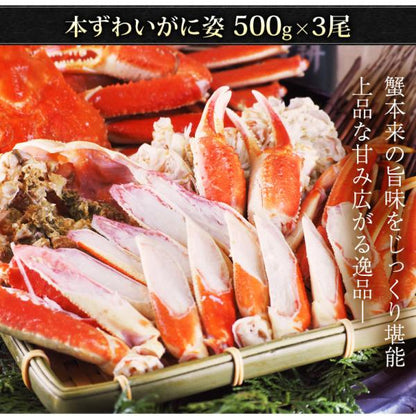 本ズワイガニ 姿 ボイル 1.5kg 500g×3尾 シーフードの本場で獲れた豪華ずわいがに。解凍するだけ 【かに/カニ/ずわい蟹/ズワイ蟹/ボイルズワイガニ/カニ味噌/ギフト/贈り物/化粧箱/熨斗】