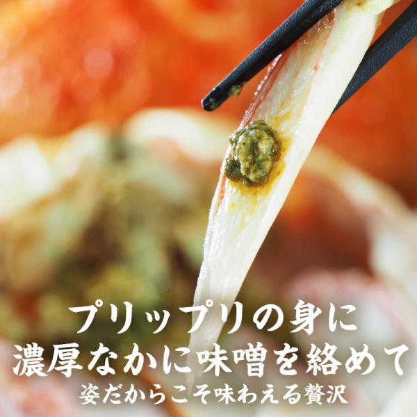 本ズワイガニ 姿 ボイル 1.5kg 500g×3尾 シーフードの本場で獲れた豪華ずわいがに。解凍するだけ 【かに/カニ/ずわい蟹/ズワイ蟹/ボイルズワイガニ/カニ味噌/ギフト/贈り物/化粧箱/熨斗】