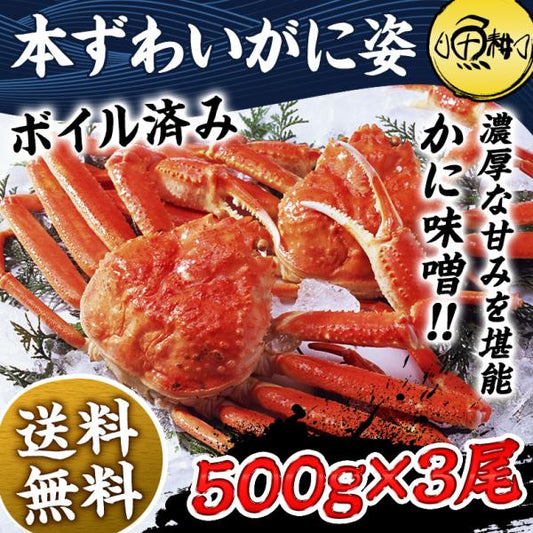 本ズワイガニ 姿 ボイル 1.5kg 500g×3尾 シーフードの本場で獲れた豪華ずわいがに。解凍するだけ 【かに/カニ/ずわい蟹/ズワイ蟹/ボイルズワイガニ/カニ味噌/ギフト/贈り物/化粧箱/熨斗】