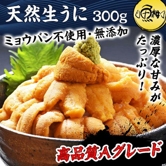 ウニ 天然 生うに 300g 約4～6人前 ミョウバン不使用 無添加 うに 味見の良いチリ産高品質Aグレード 【雲丹/海胆/海栗/お取り寄せ/グルメ/ギフト/贈答】