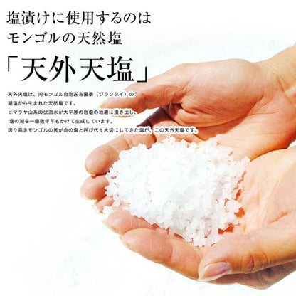 無着色 辛子明太子 一本羽 1kg 選べるサイズ M 2L 化粧箱入  プチッと弾ける食感がたまらない、贅沢な一本物 【明太子/めんたいこ/からし明太子/たらこ/ギフト/プレゼント/贈答/海鮮/高級】