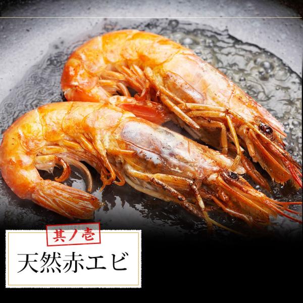 パエリア アヒージョ 冷凍 具材 セット 2〜3人前 魚介 【赤えび/えび/あさり/ムール貝/いか/マツイカ】【魚介/パスタ/ピザ/魚/海産物/海鮮/バーベキュー/BBQ/海鮮セット/キット/キャンプ飯/グランピング/ホームパーティー/イベント】