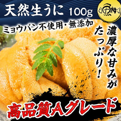 ウニ 天然生うに 100g 約2人前 ミョウバン不使用 無添加 うに 味見の良いチリ産高品質Aグレード 【雲丹/海胆/海栗/お取り寄せ/グルメ/ギフト/贈答】