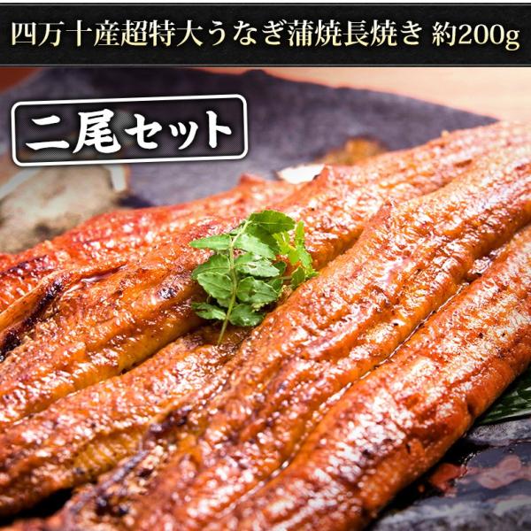 うなぎ 国産 高知県 四万十産 蒲焼き 長焼き 400g 2尾×約200g 超特大サイズ 【ギフト/プレゼント/贈答/海鮮/ウナギ/鰻/土用の丑の日/高級/unagi】