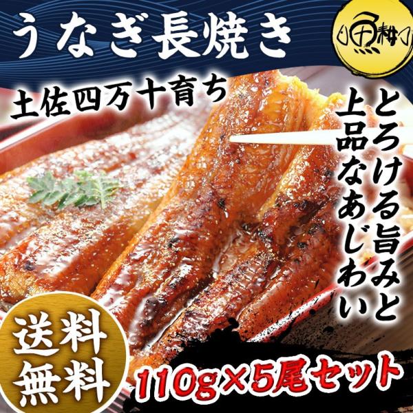 四万十 うなぎ 国産 長焼き 110g×5本セット 日本最後の清流、四万十川の恵みで育った自慢のウナギ 鰻の中でも最上級の旨みとあじわい 【ウナギ/蒲焼き/国内産/ギフト/プレゼント/贈答】