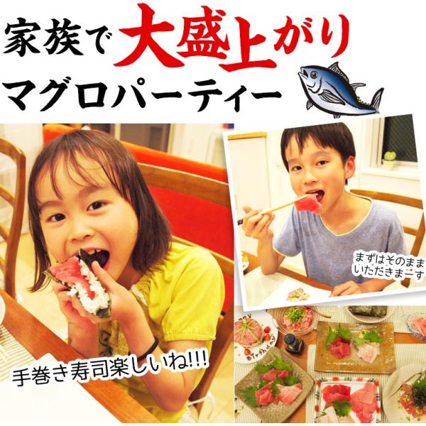 まぐろ御三家食べ比べセット 600g 6人前 刺身 赤身 天然きはだマグロ 天然びんトロマグロ 天然めばちマグロ 養殖でも訳ありでもありません！ 【まぐろ/マグロ/鮪/盛り合わせ/お刺身セット/海鮮丼/トロびんちょう/ギフト/プレゼント/贈答】