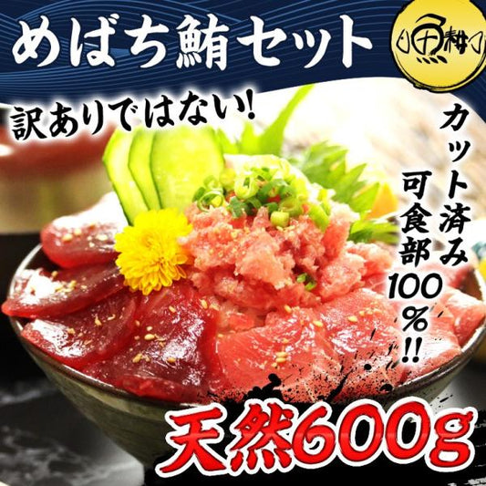 天然めばちマグロ３種食べ比べセット 中トロ 赤身 ネギトロ 600g 養殖でも訳ありでもありません！血合い処理済み可食部100％ 【まぐろ/鮪/マグロ/刺身/盛り合わせ/お刺身セット/海鮮丼/ねぎとろ/まぐろたたき/ギフト/プレゼント/贈答】