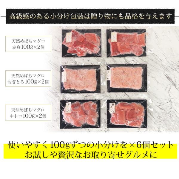 天然めばちマグロ３種食べ比べセット 中トロ 赤身 ネギトロ 600g 養殖でも訳ありでもありません！血合い処理済み可食部100％ 【まぐろ/鮪/マグロ/刺身/盛り合わせ/お刺身セット/海鮮丼/ねぎとろ/まぐろたたき/ギフト/プレゼント/贈答】
