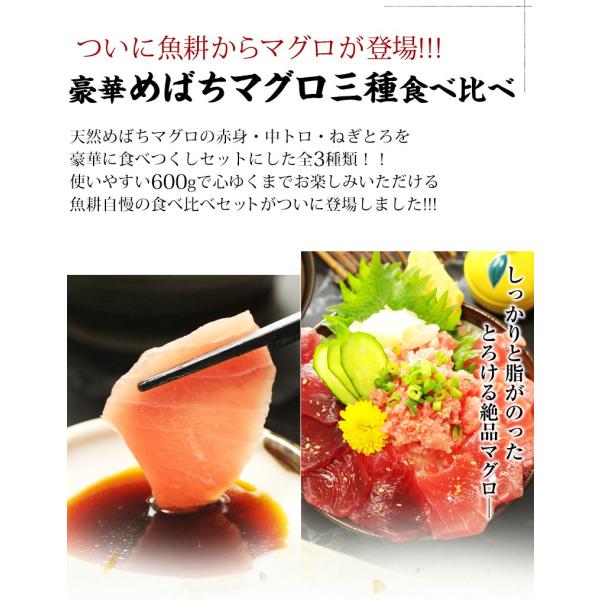 天然めばちマグロ３種食べ比べセット 中トロ 赤身 ネギトロ 600g 養殖でも訳ありでもありません！血合い処理済み可食部100％ 【まぐろ/鮪/マグロ/刺身/盛り合わせ/お刺身セット/海鮮丼/ねぎとろ/まぐろたたき/ギフト/プレゼント/贈答】