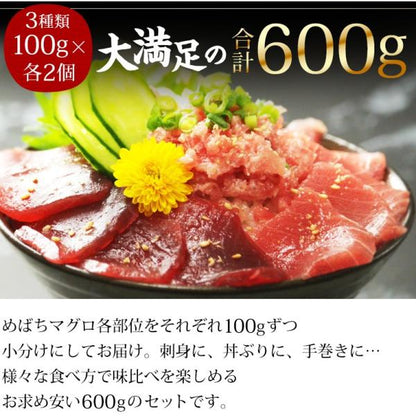 天然めばちマグロ３種食べ比べセット 中トロ 赤身 ネギトロ 600g 養殖でも訳ありでもありません！血合い処理済み可食部100％ 【まぐろ/鮪/マグロ/刺身/盛り合わせ/お刺身セット/海鮮丼/ねぎとろ/まぐろたたき/ギフト/プレゼント/贈答】