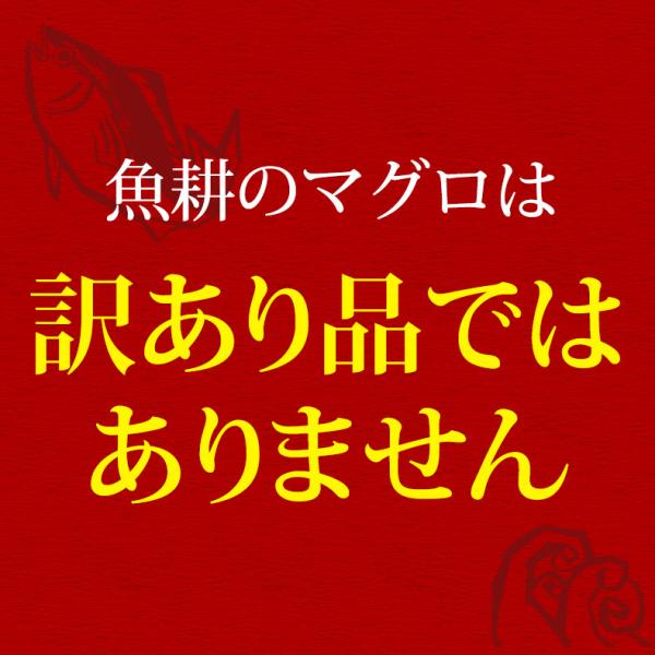 天然本マグロ 中トロ 3種 約2人前 各100g×3個 300g ミナミマグロ 本マグロ めばち鮪 養殖でも訳ありでもありません！血合い処理済み可食部100％ 【天然/本鮪/黒マグロ/メバチ/まぐろ/鮪】【お取り寄せ/グルメ/海鮮/母の日/ギフト/食べ物/プレゼント/贈答】