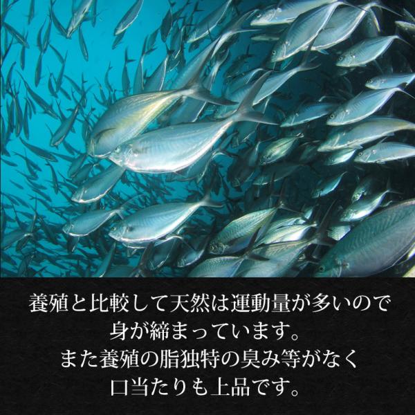 天然本マグロ 中トロ 3種 約2人前 各100g×3個 300g ミナミマグロ 本マグロ めばち鮪 養殖でも訳ありでもありません！血合い処理済み可食部100％ 【天然/本鮪/黒マグロ/メバチ/まぐろ/鮪】【お取り寄せ/グルメ/海鮮/母の日/ギフト/食べ物/プレゼント/贈答】