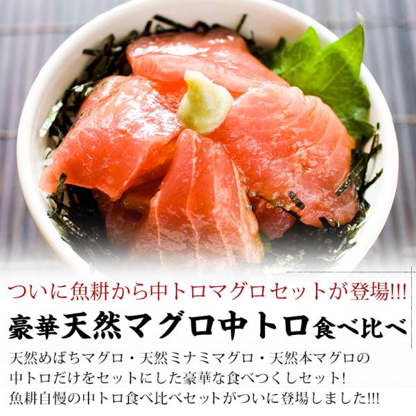 天然本マグロ 中トロ 3種 約2人前 各100g×3個 300g ミナミマグロ 本マグロ めばち鮪 養殖でも訳ありでもありません！血合い処理済み可食部100％ 【天然/本鮪/黒マグロ/メバチ/まぐろ/鮪】【お取り寄せ/グルメ/海鮮/母の日/ギフト/食べ物/プレゼント/贈答】