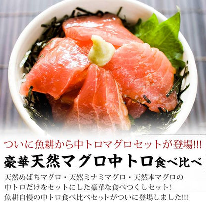 天然本マグロ 中トロ 3種 約2人前 各100g×3個 300g ミナミマグロ 本マグロ めばち鮪 養殖でも訳ありでもありません！血合い処理済み可食部100％ 【天然/本鮪/黒マグロ/メバチ/まぐろ/鮪】【お取り寄せ/グルメ/海鮮/母の日/ギフト/食べ物/プレゼント/贈答】