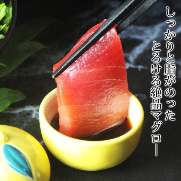 天然本マグロ 中トロ 3種 約2人前 各100g×3個 300g ミナミマグロ 本マグロ めばち鮪 養殖でも訳ありでもありません！血合い処理済み可食部100％ 【天然/本鮪/黒マグロ/メバチ/まぐろ/鮪】【お取り寄せ/グルメ/海鮮/母の日/ギフト/食べ物/プレゼント/贈答】