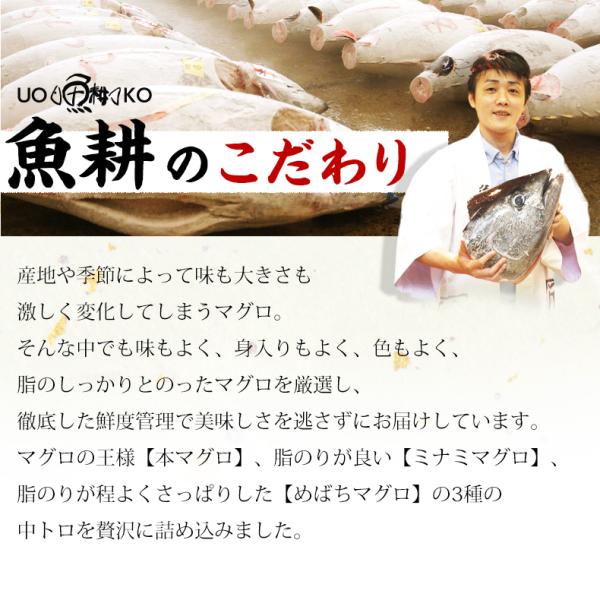天然本マグロ 中トロ 3種 約2人前 各100g×3個 300g ミナミマグロ 本マグロ めばち鮪 養殖でも訳ありでもありません！血合い処理済み可食部100％ 【天然/本鮪/黒マグロ/メバチ/まぐろ/鮪】【お取り寄せ/グルメ/海鮮/母の日/ギフト/食べ物/プレゼント/贈答】