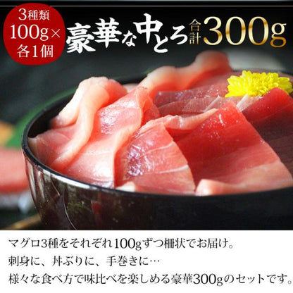 天然本マグロ 中トロ 3種 約2人前 各100g×3個 300g ミナミマグロ 本マグロ めばち鮪 養殖でも訳ありでもありません！血合い処理済み可食部100％ 【天然/本鮪/黒マグロ/メバチ/まぐろ/鮪】【お取り寄せ/グルメ/海鮮/母の日/ギフト/食べ物/プレゼント/贈答】