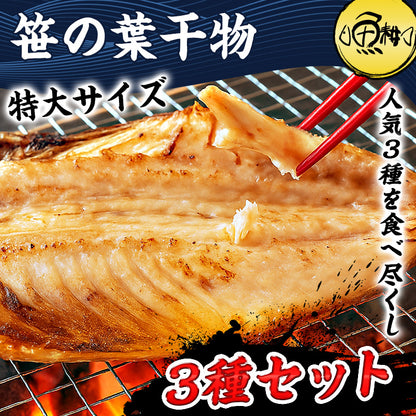 特大 笹の葉 干物セット 3種 詰め合わせ 合計1kg以上 無添加 【干物/ひもの/冷凍/ほっけ/ホッケ/さば/サバ/鯖/あじ/アジ/鰺/ギフト/プレゼント/おつまみ/贈り物/贈答/海鮮】