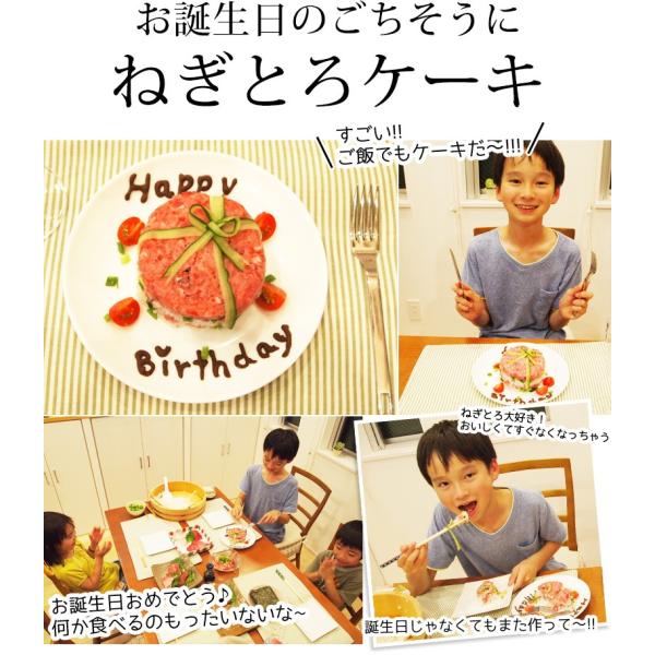 ネギトロ 1kg 100g×10 養殖でも訳ありでもありません！天然めばちマグロ100％使用 【ねぎとろ/まぐろたたき/まぐろ/鮪/マグロ/お取り寄せ/グルメ/海鮮/父の日/食べ物/ギフト/プレゼント/贈答】