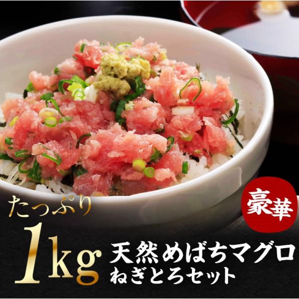 ネギトロ 1kg 100g×10 養殖でも訳ありでもありません！天然めばちマグロ100％使用 【ねぎとろ/まぐろたたき/まぐろ/鮪/マグロ/お取り寄せ/グルメ/海鮮/父の日/食べ物/ギフト/プレゼント/贈答】