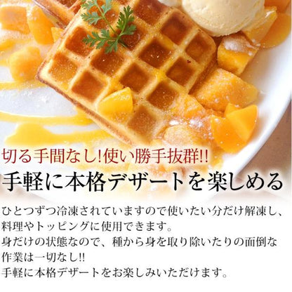 プレミアムマンゴー 無添加 冷凍 5kg 500g×10 カット済み 【マンゴー/カットマンゴー/高糖度/糖度15度以上/カッチュー種/ベトナム産/南国フルーツ/フルーツ/トロピカル/ダイスカット】