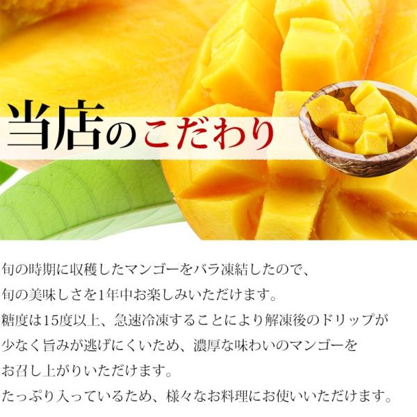 プレミアムマンゴー 無添加 冷凍 5kg 500g×10 カット済み 【マンゴー/カットマンゴー/高糖度/糖度15度以上/カッチュー種/ベトナム産/南国フルーツ/フルーツ/トロピカル/ダイスカット】