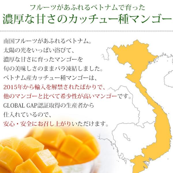 プレミアムマンゴー 無添加 冷凍 5kg 500g×10 カット済み 【マンゴー/カットマンゴー/高糖度/糖度15度以上/カッチュー種/ベトナム産/南国フルーツ/フルーツ/トロピカル/ダイスカット】