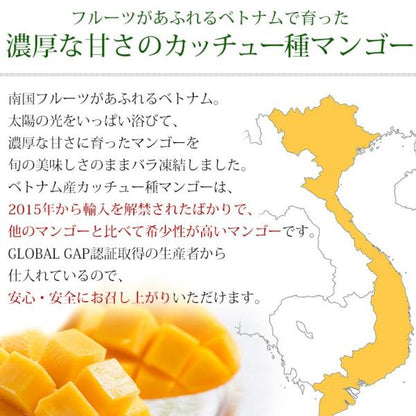 プレミアムマンゴー 無添加 冷凍 5kg 500g×10 カット済み 【マンゴー/カットマンゴー/高糖度/糖度15度以上/カッチュー種/ベトナム産/南国フルーツ/フルーツ/トロピカル/ダイスカット】