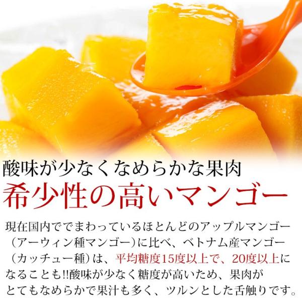 プレミアムマンゴー 無添加 冷凍 5kg 500g×10 カット済み 【マンゴー/カットマンゴー/高糖度/糖度15度以上/カッチュー種/ベトナム産/南国フルーツ/フルーツ/トロピカル/ダイスカット】