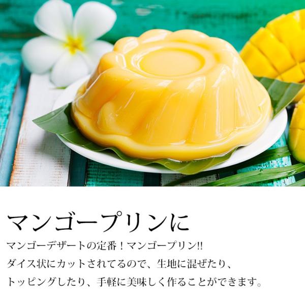 プレミアムマンゴー 無添加 冷凍 5kg 500g×10 カット済み 【マンゴー/カットマンゴー/高糖度/糖度15度以上/カッチュー種/ベトナム産/南国フルーツ/フルーツ/トロピカル/ダイスカット】