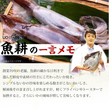いか焼き 1kg イカ焼き  温めるだけ レンチン 簡単調理 肉厚いかやき 【調理不要/解凍するだけ/加熱済/調理済/焼きイカ/海鮮焼き/イカ/いか/烏賊/冷凍/食品/惣菜/酒の肴/おつまみ/お取り寄せ/グルメ/海鮮/バーベキュー/BBQ】