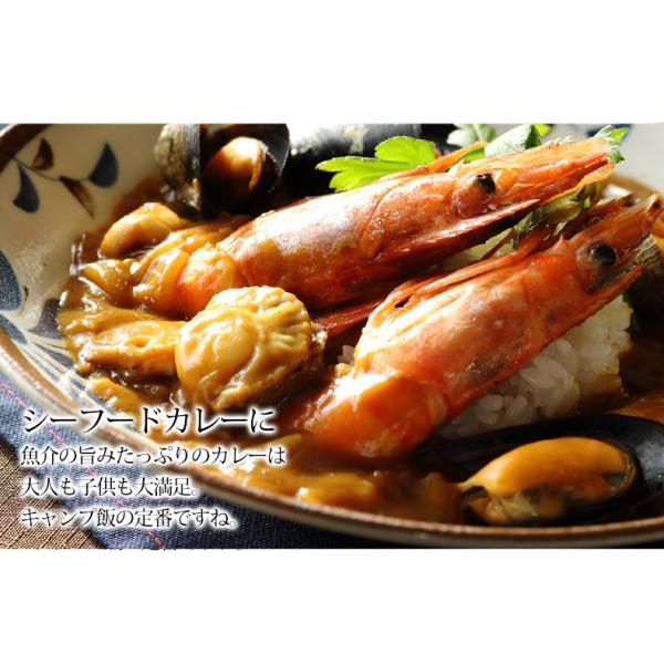 海鮮バーベキューセット 4種 20品 約3人前 BBQ 冷凍 【海鮮/バーベキュー/キャンプ/海鮮焼き/鉄板焼き/食材/魚/海産物/鍋/海鮮鍋セット/海鮮セット/寄せ鍋/ホームパーティー/お取り寄せ】【赤えび/エビ/海老/かき/カキ/牡蠣/ボイルほたて/ホタテ/帆立/イカ/いか】