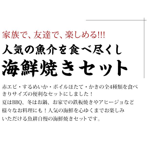 海鮮バーベキューセット 4種 20品 約3人前 BBQ 冷凍 【海鮮/バーベキュー/キャンプ/海鮮焼き/鉄板焼き/食材/魚/海産物/鍋/海鮮鍋セット/海鮮セット/寄せ鍋/ホームパーティー/お取り寄せ】【赤えび/エビ/海老/かき/カキ/牡蠣/ボイルほたて/ホタテ/帆立/イカ/いか】