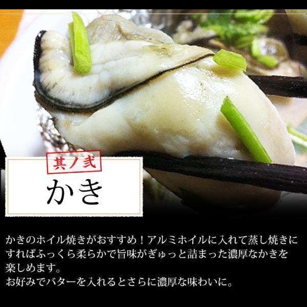 海鮮バーベキューセット 4種 20品 約3人前 BBQ 冷凍 【海鮮/バーベキュー/キャンプ/海鮮焼き/鉄板焼き/食材/魚/海産物/鍋/海鮮鍋セット/海鮮セット/寄せ鍋/ホームパーティー/お取り寄せ】【赤えび/エビ/海老/かき/カキ/牡蠣/ボイルほたて/ホタテ/帆立/イカ/いか】